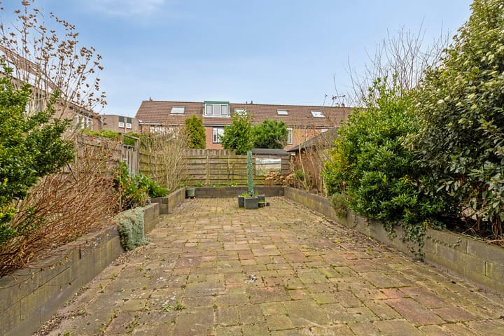 Foto 22 van Musholm 288