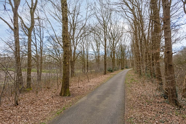 Foto 32 van De Elbe 26