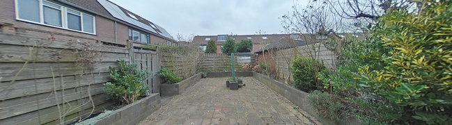 achtertuin