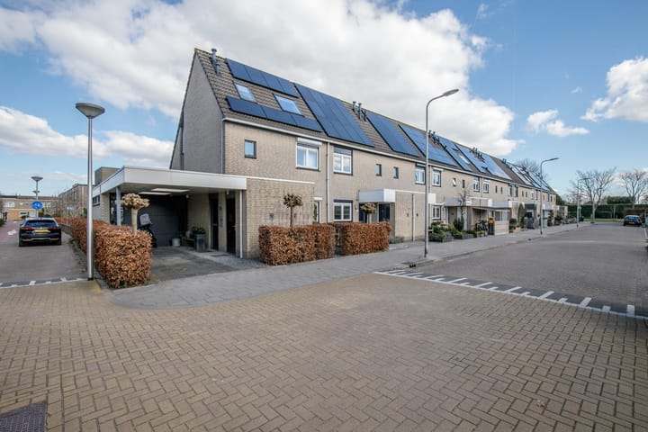 Foto 45 van Hunze 22