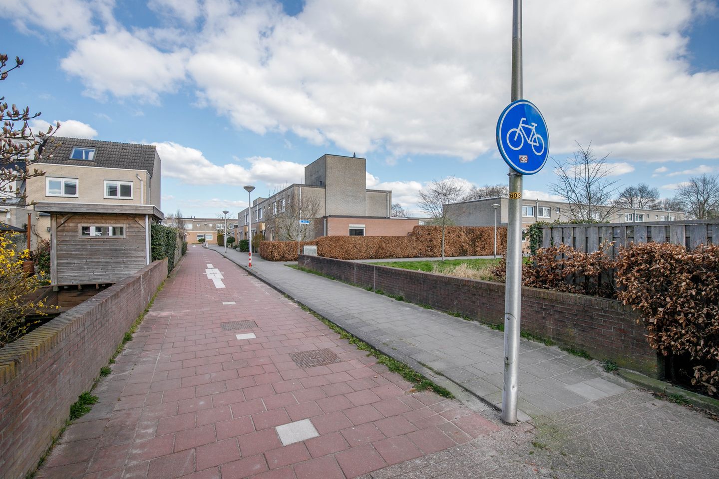 Foto 49 van Hunze 22