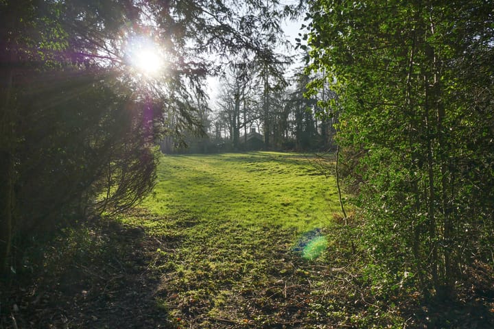 Photo 14 of Bastinglaan 20