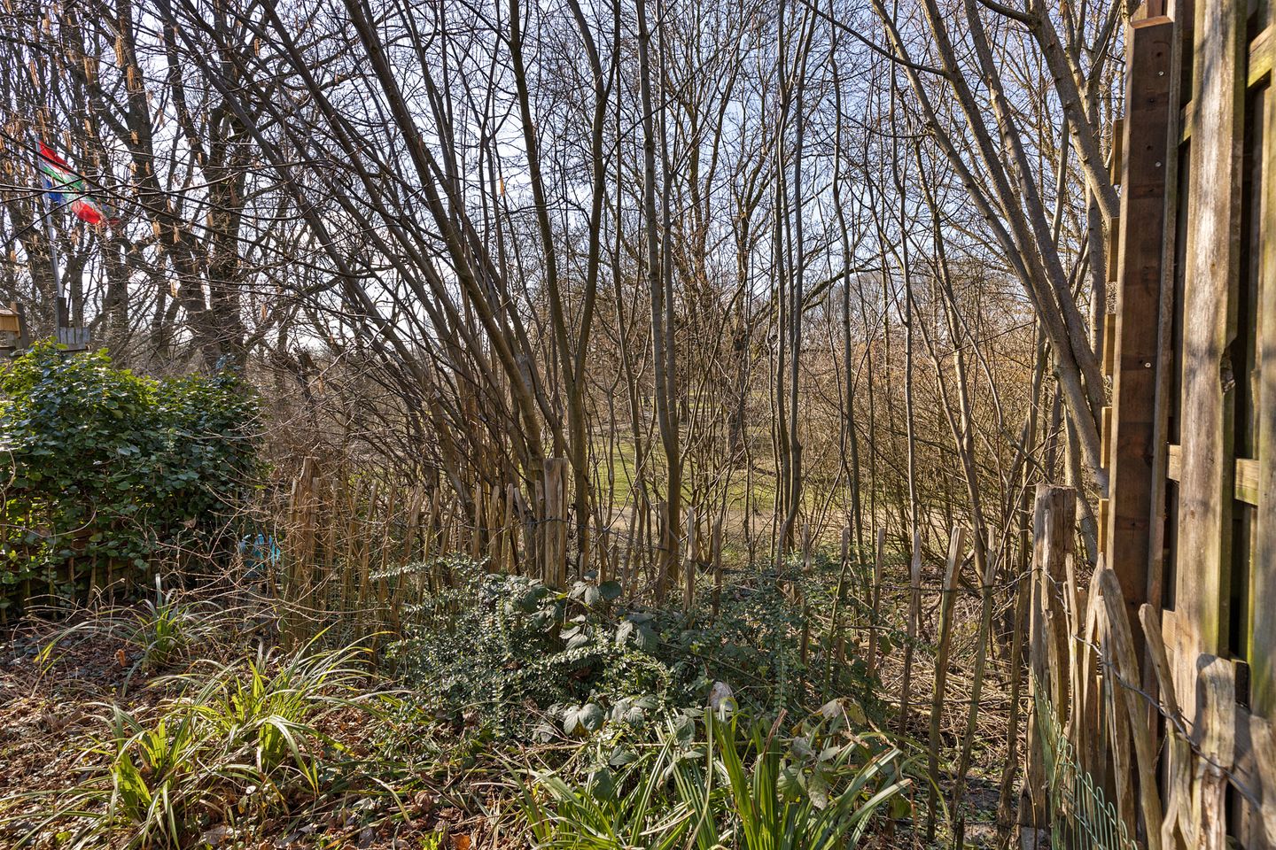 Foto 5 van Molenstraat 49