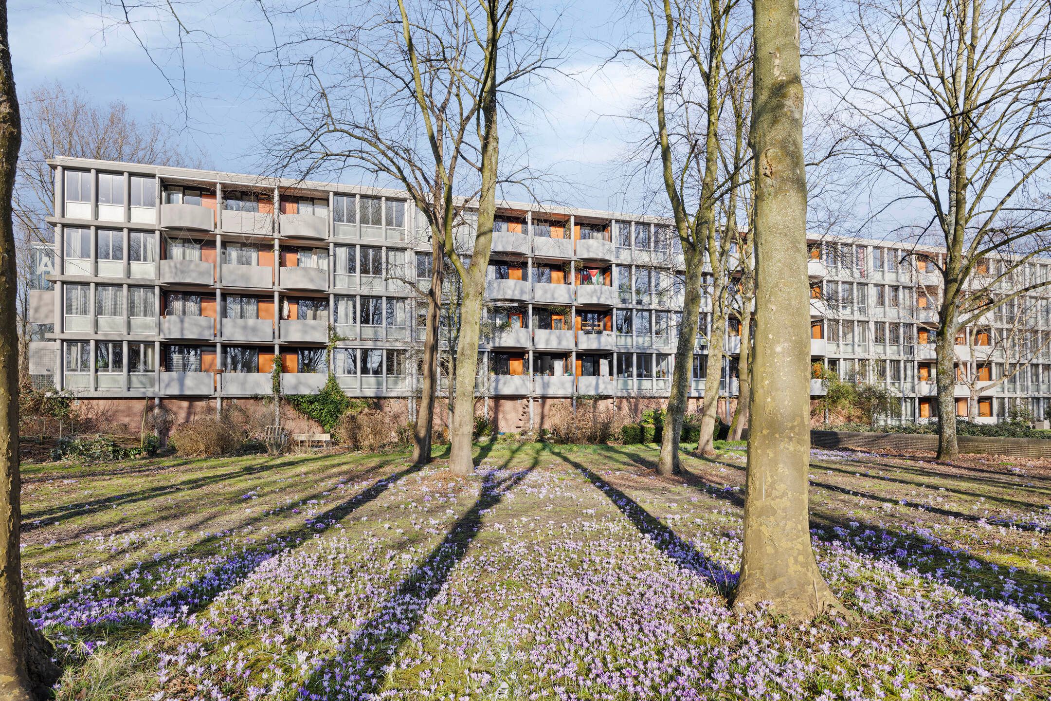 Foto 33 van Bovenover 117