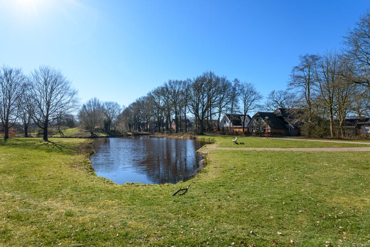 Foto 41 van Weidemaad 142