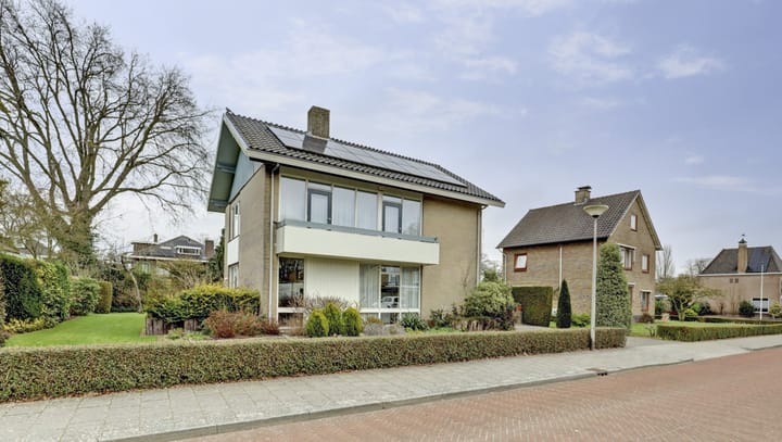undefined main image