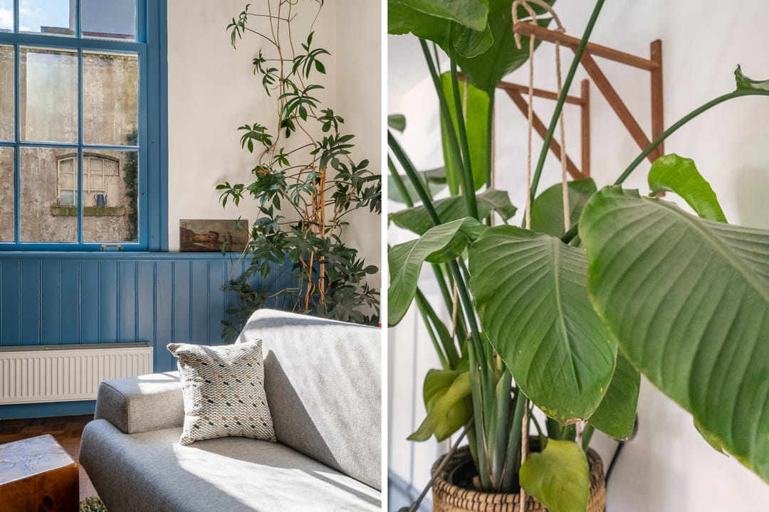 Foto 22 van Nieuwstraat 9