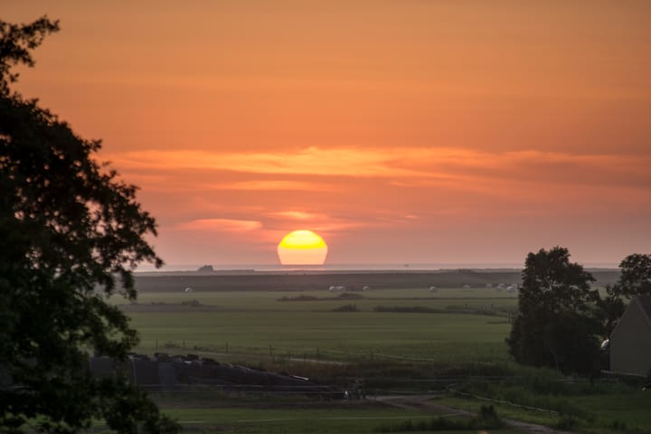 Photo 4 of Noard 99-204