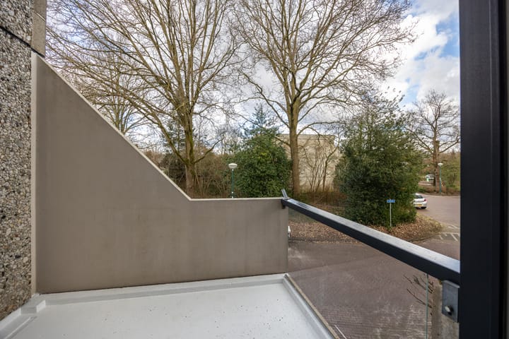 Foto 18 van Ardennen 84