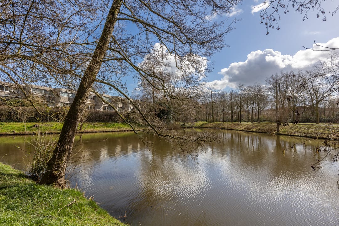 Foto 38 van Ardennen 84