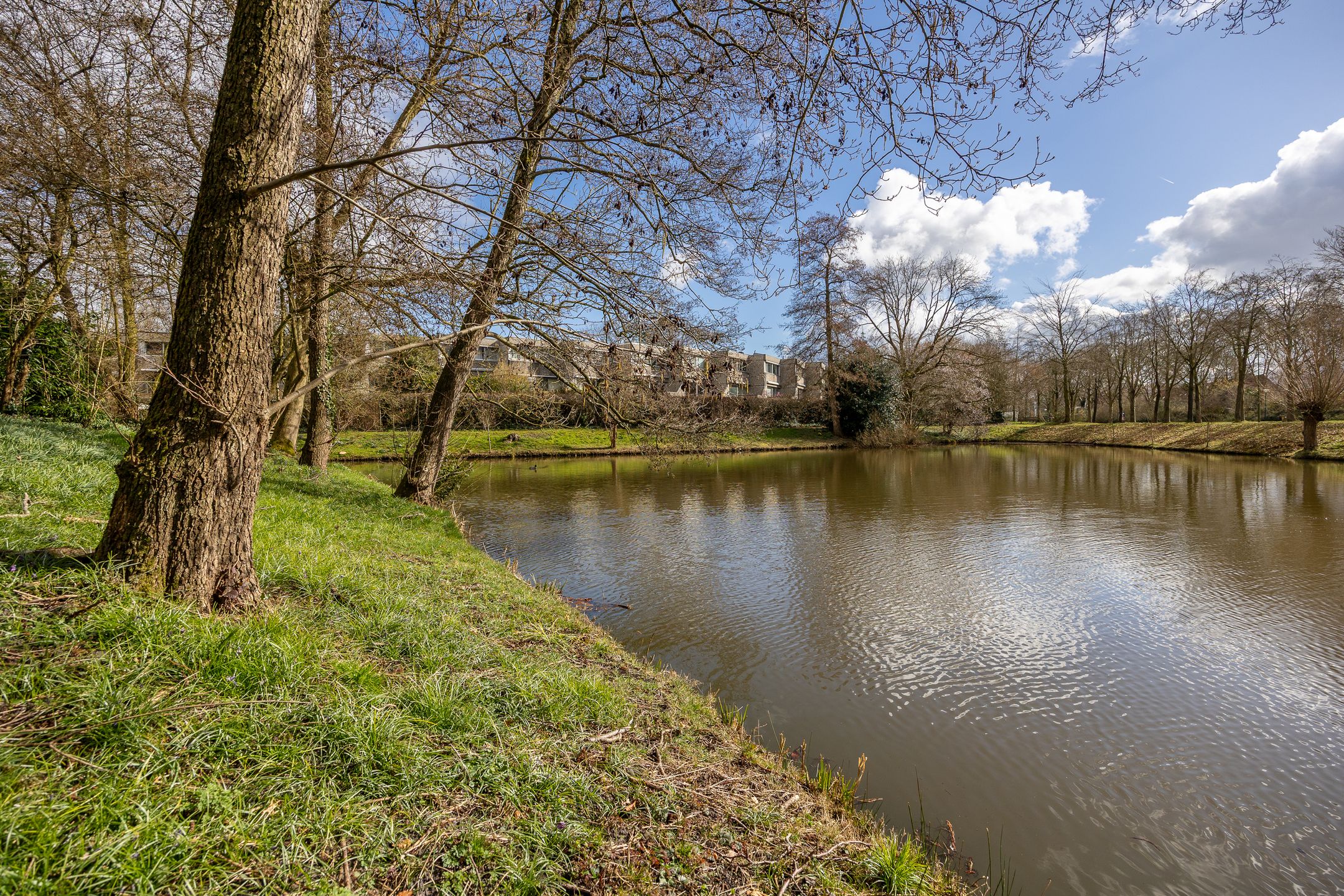 Foto 39 van Ardennen 84
