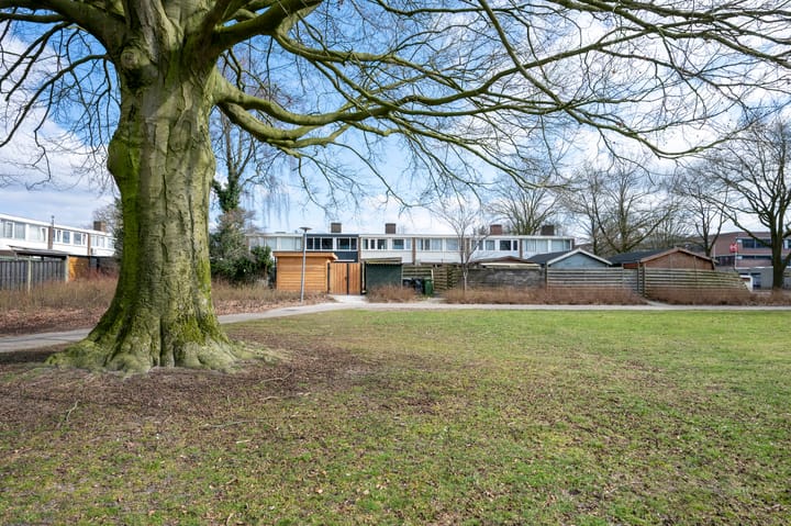 Foto 30 van Ubbekingecamp 32