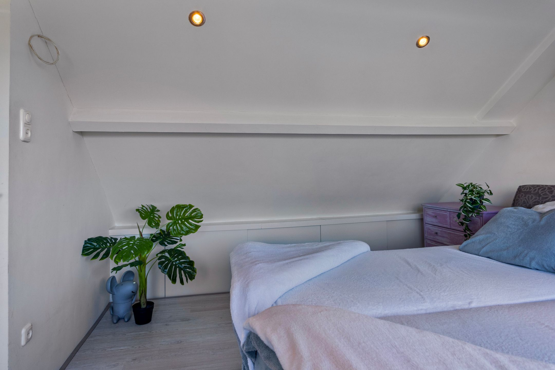 Foto 36 van Mahoniehoutstraat 8