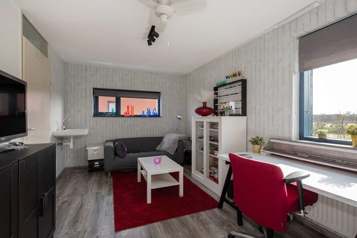 Foto 36 van Spireaveld 11