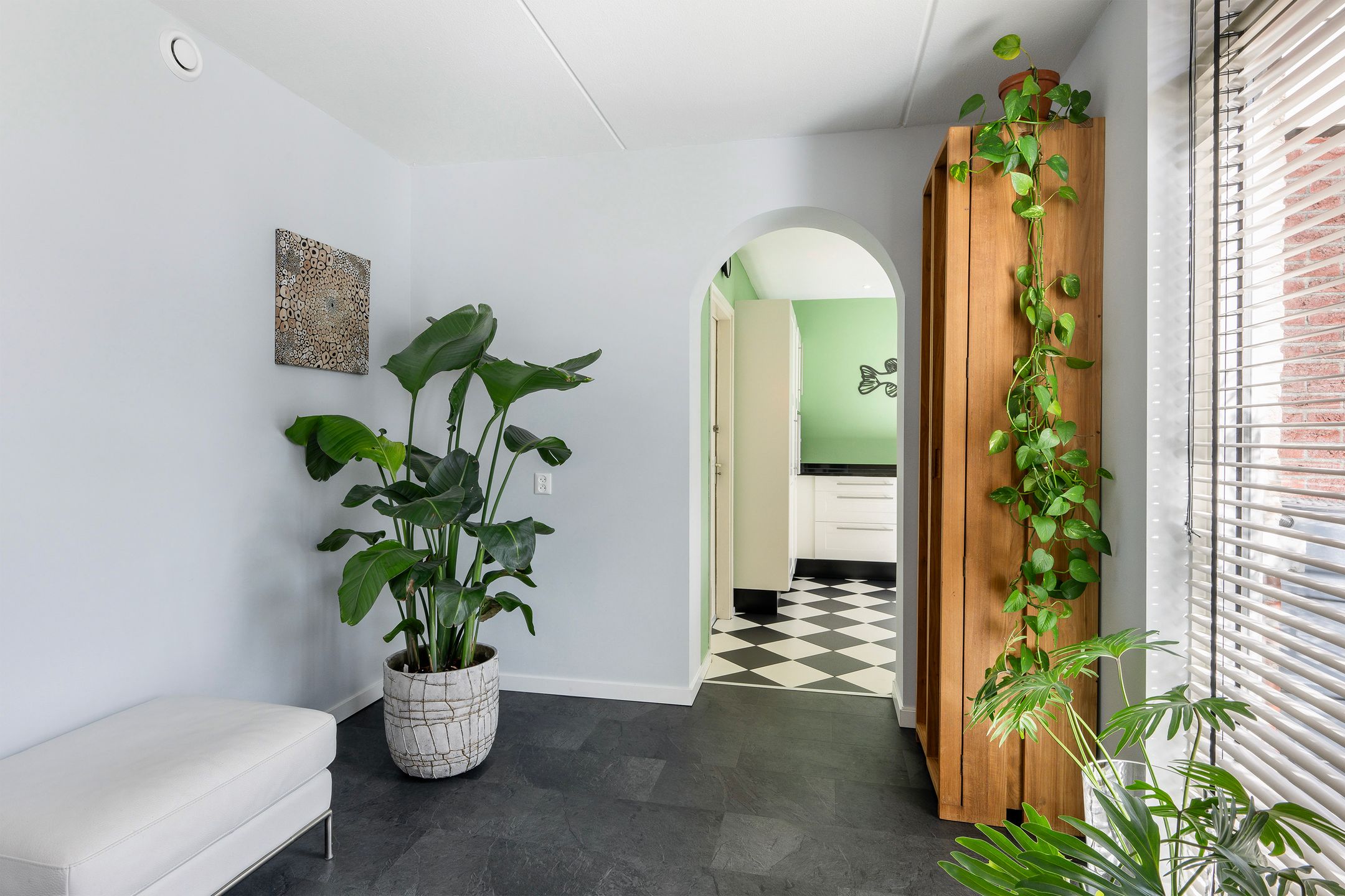 Foto 9 van Fransezoom 43