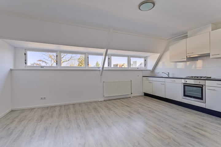 Foto 4 van Vlietlaan 44-B2