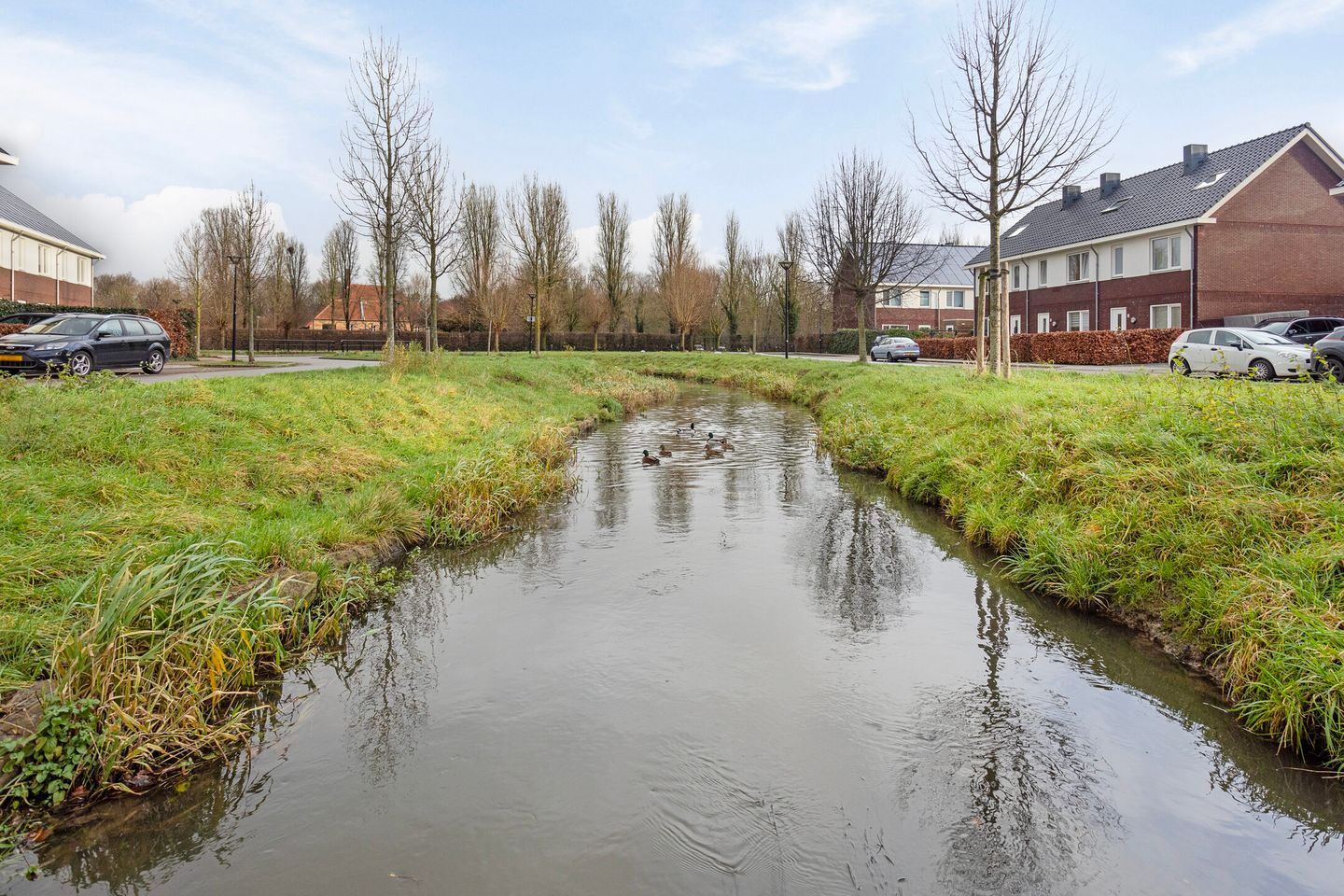 Foto 34 van Walstro 14