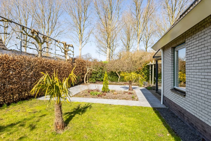 Foto 6 van C. Pothuisstraat 11