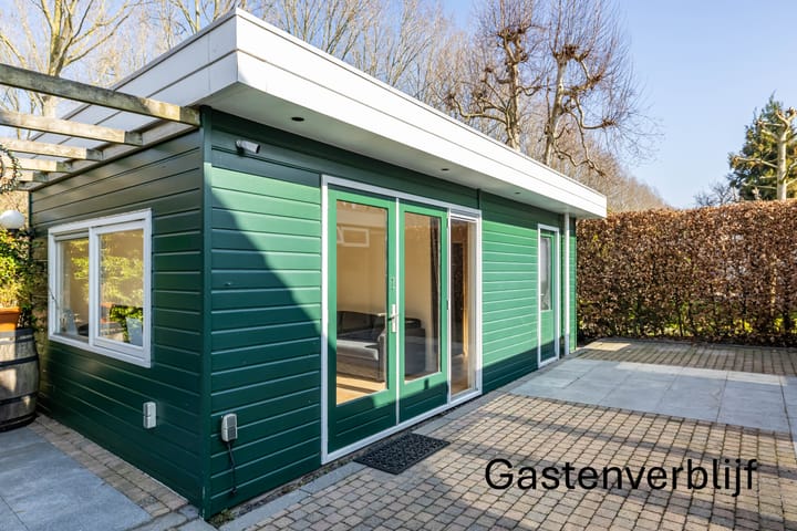 Foto 40 van C. Pothuisstraat 11