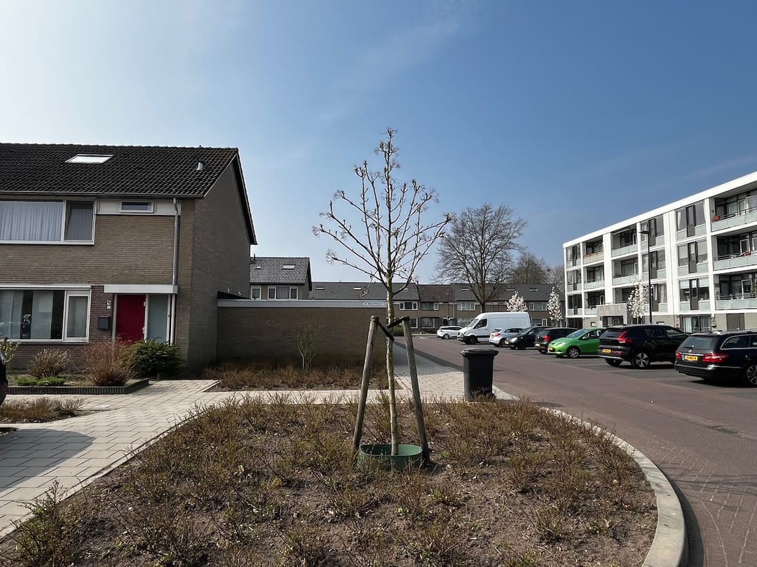 Foto 8 van De Wagenmaker 4