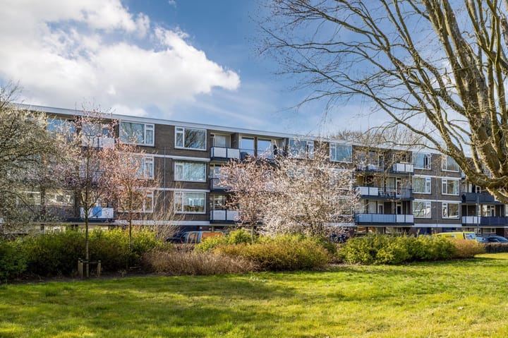 Foto 3 van Philip Vingboonsstraat 104