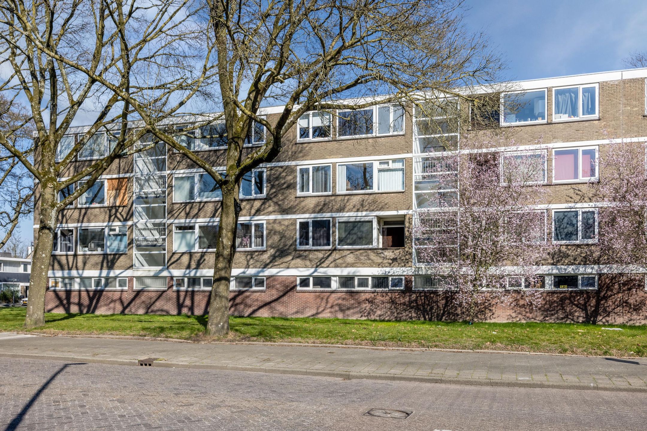 Foto 36 van Philip Vingboonsstraat 104