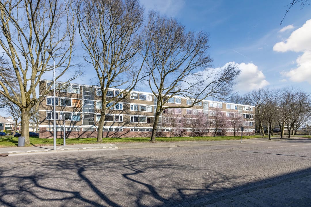 Foto 38 van Philip Vingboonsstraat 104