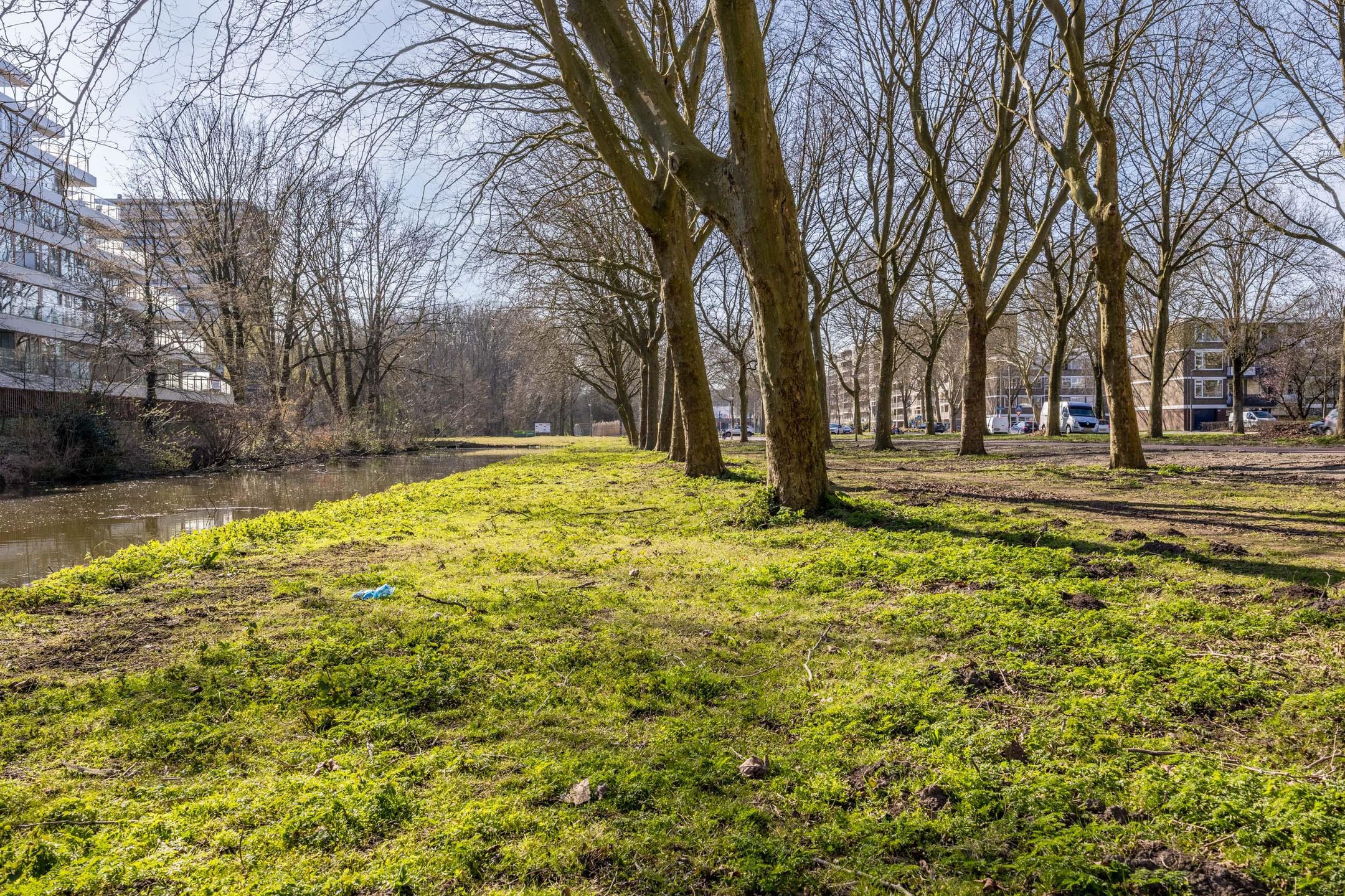 Foto 39 van Philip Vingboonsstraat 104