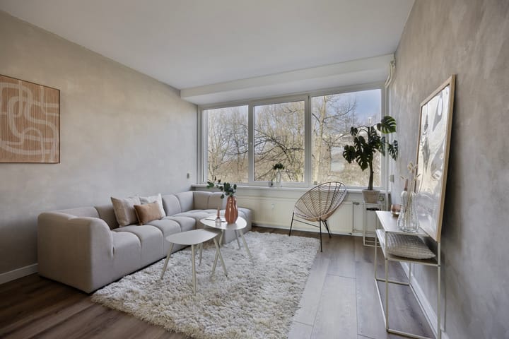 Foto 3 van Professor Cobbenhagenlaan 550