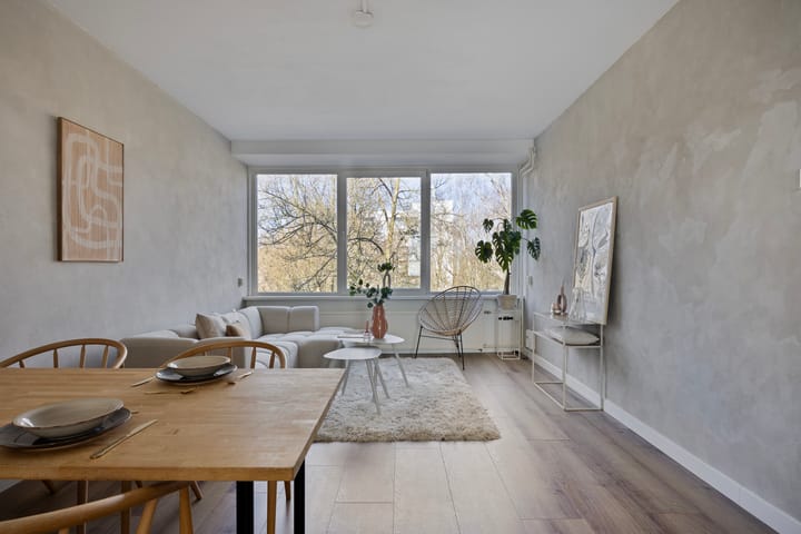 Foto 4 van Professor Cobbenhagenlaan 550