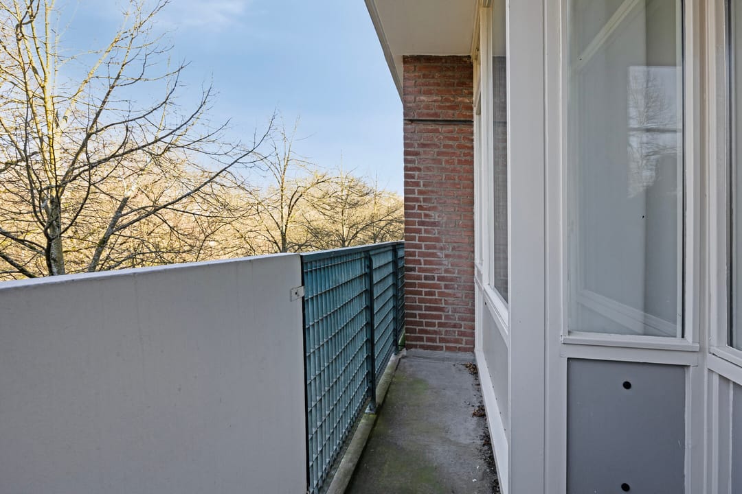 Foto 17 van Professor Cobbenhagenlaan 550