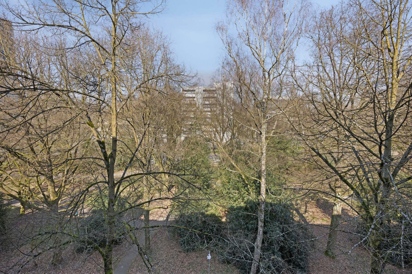 Foto 19 van Professor Cobbenhagenlaan 550