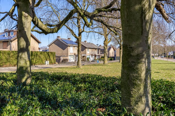 Foto 54 van Doctor Beckersstraat 134