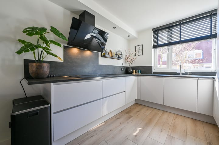 Foto 2 van Mosroos 17