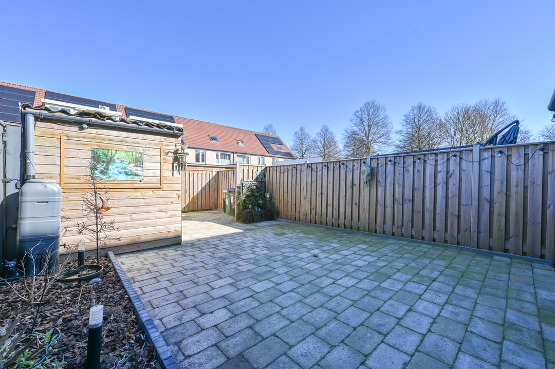 Foto 41 van Mosroos 17