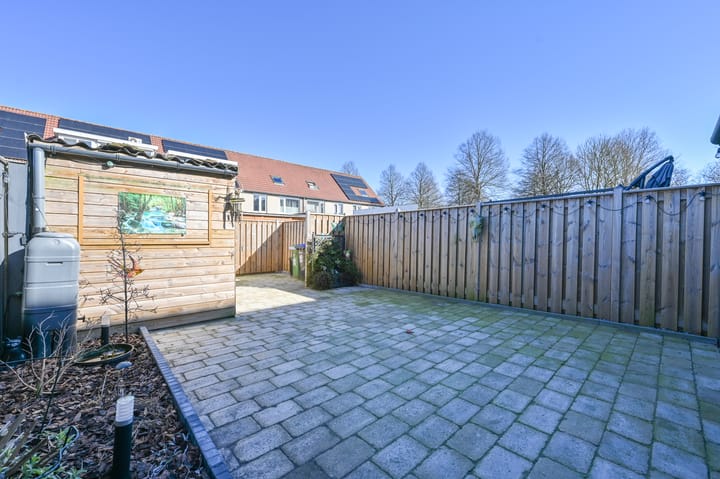 Foto 41 van Mosroos 17