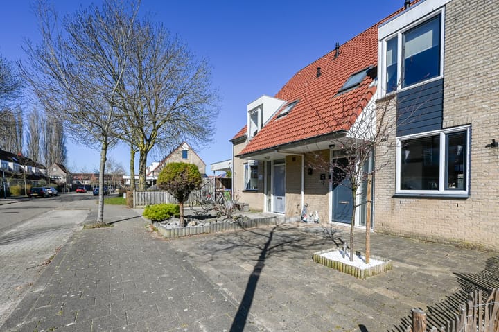 Foto 46 van Mosroos 17