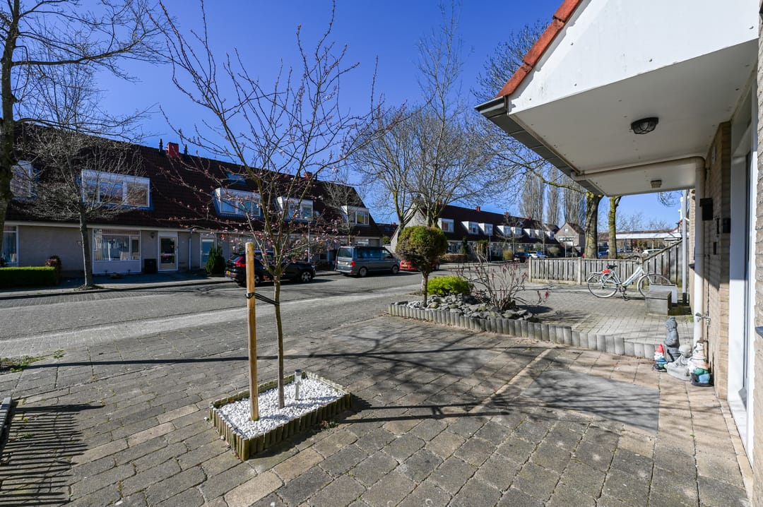 Foto 47 van Mosroos 17