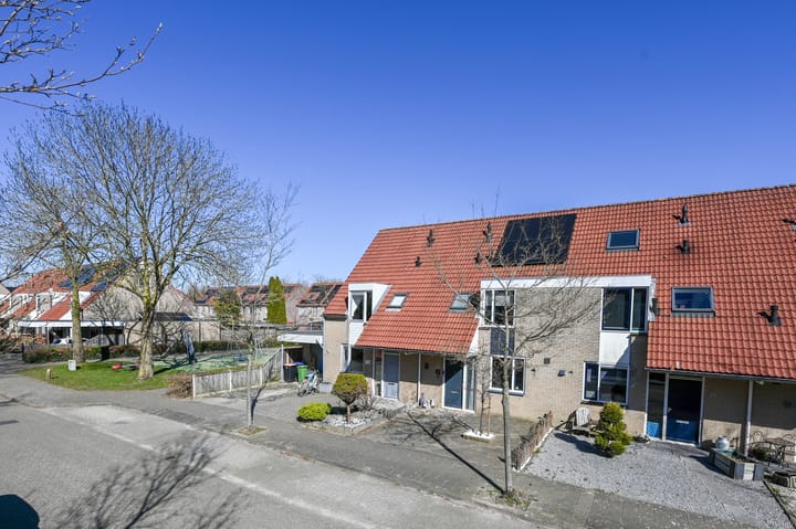 Foto 48 van Mosroos 17