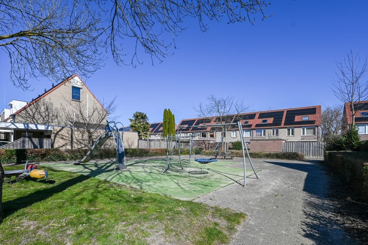 Foto 49 van Mosroos 17