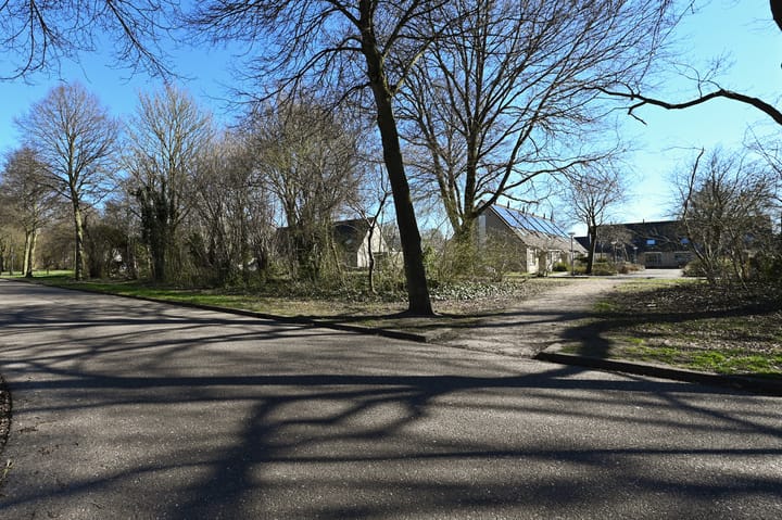 Foto 50 van Mosroos 17