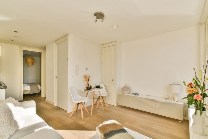 Foto 4 van Ruysdaelkade 95-C