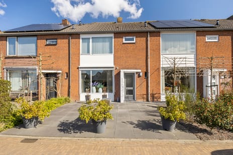 undefined main image