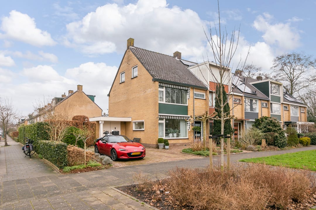 Foto 2 van Laan 1954 38