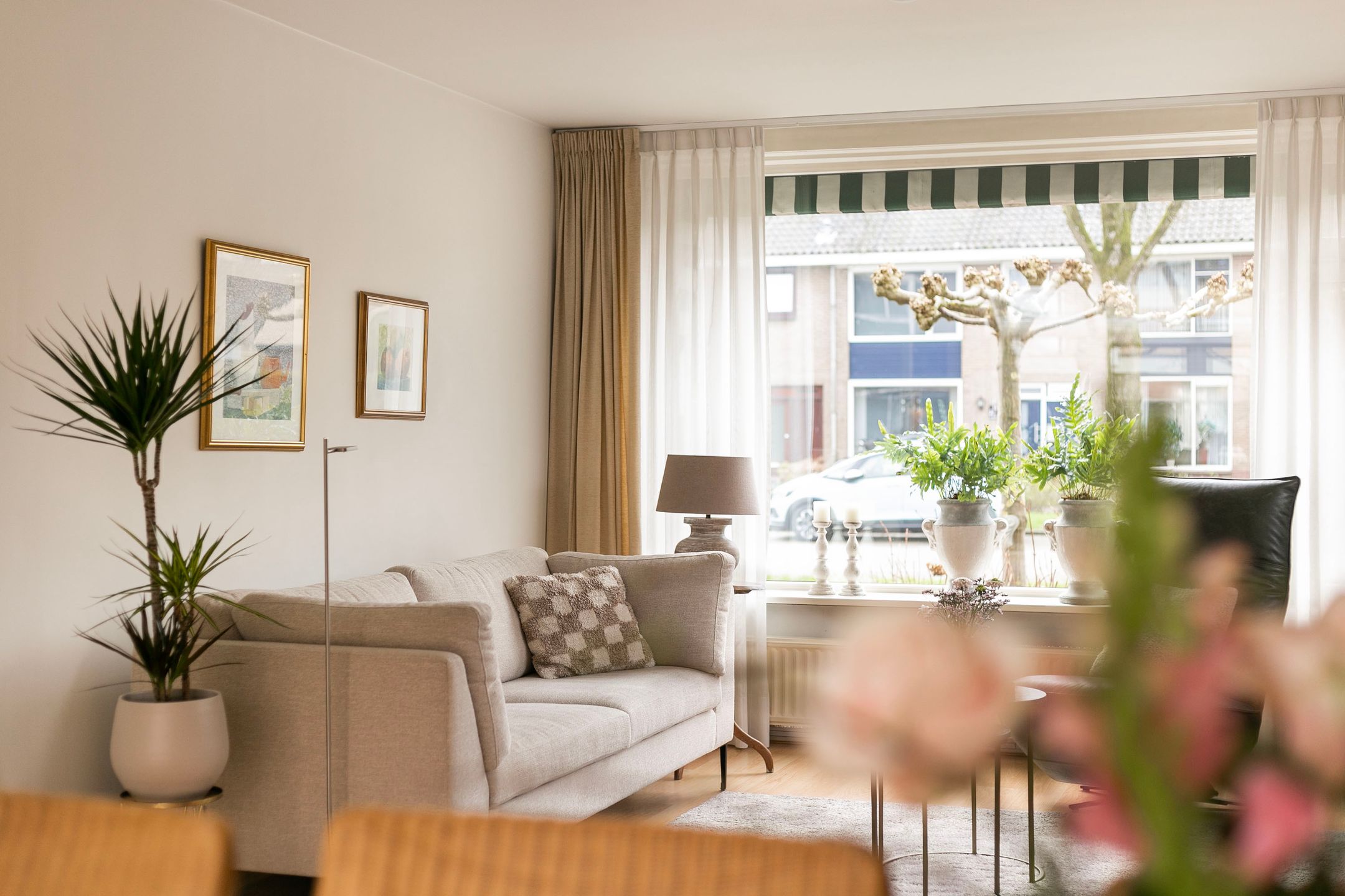 Foto 6 van Laan 1954 38