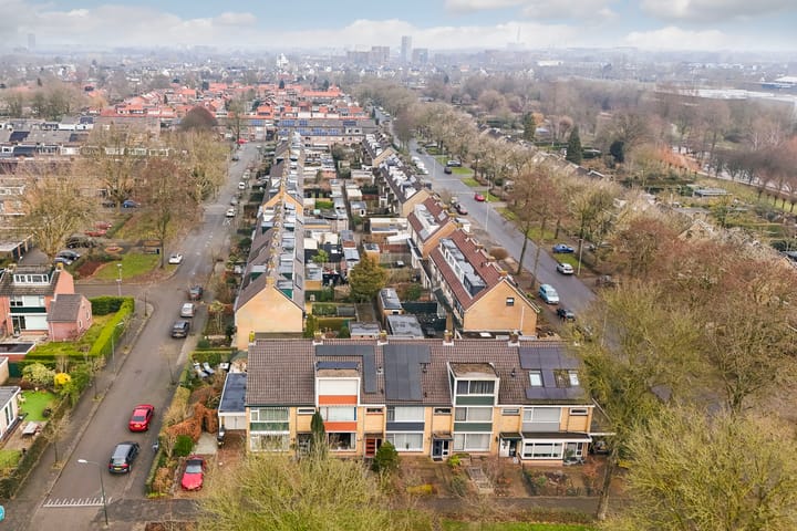 Foto 42 van Laan 1954 38