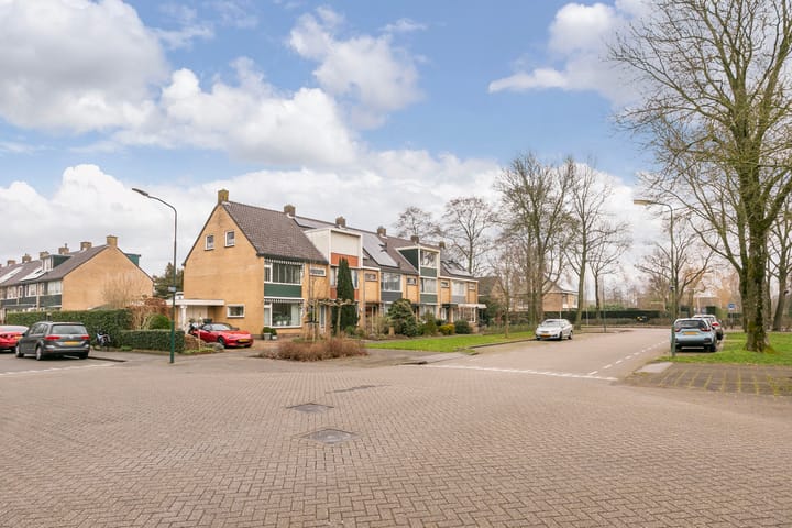 Foto 43 van Laan 1954 38