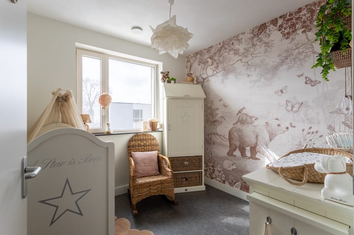 Foto 16 van Tamboerijnstraat 114