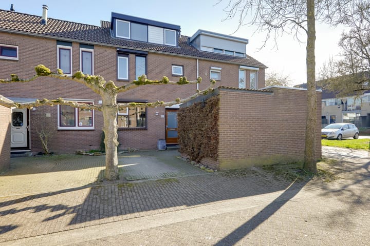 undefined main image