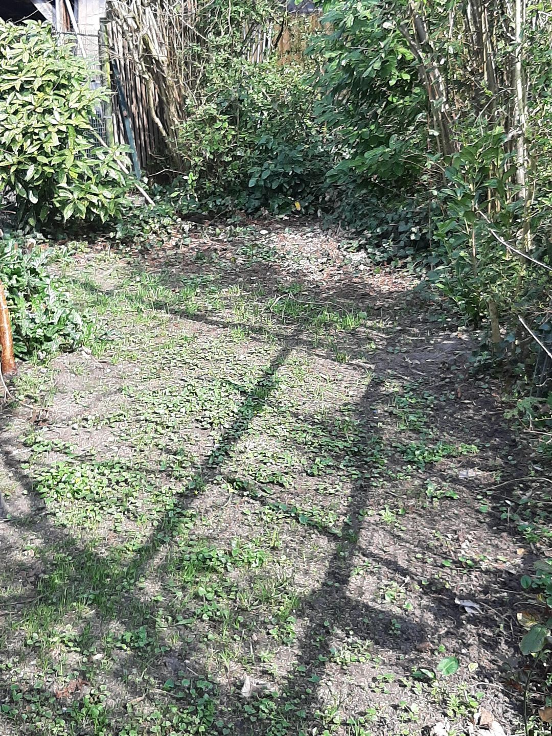 Foto 41 van Hordijk 131